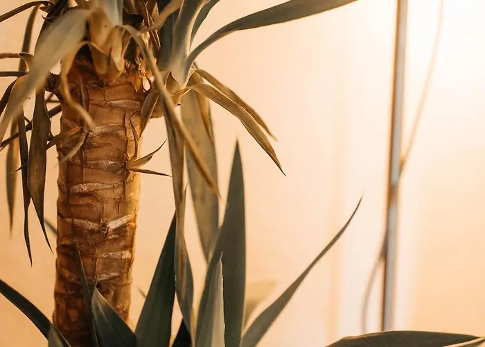 Costa Cabral Flat Apartment Porto