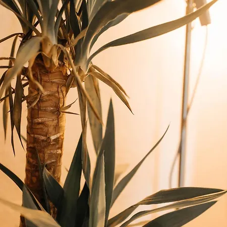 Costa Cabral Flat Apartment Porto